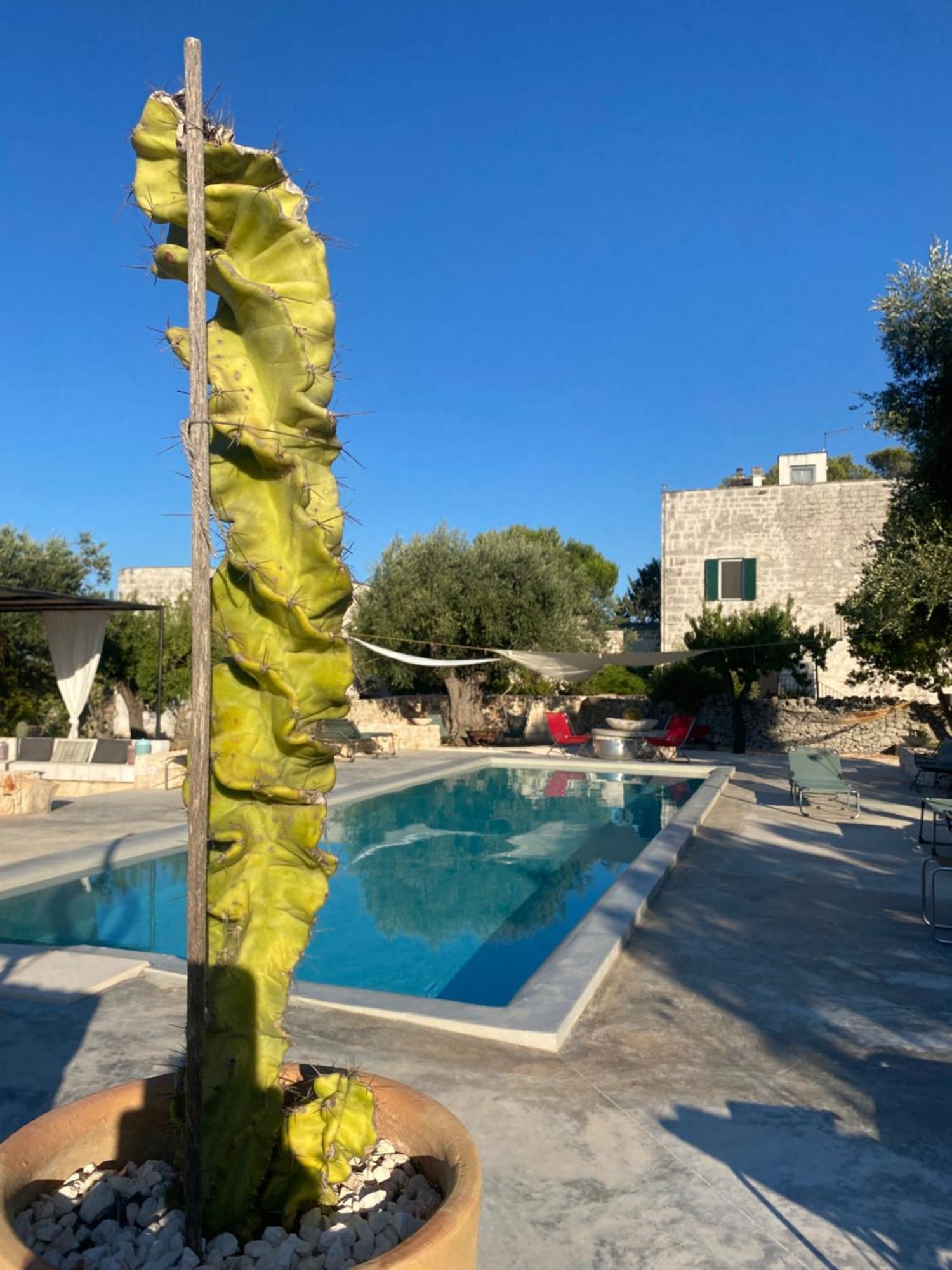 Masseria Serafino 奥斯图尼 外观 照片